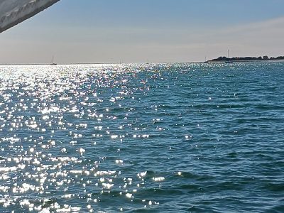 À bord de Damien : une journée entre Ré et La Rochelle