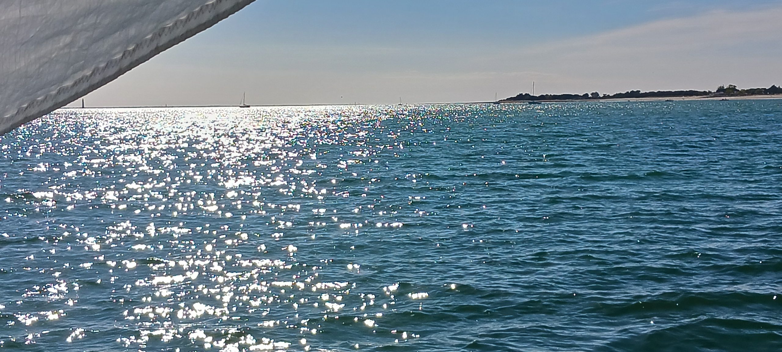 À bord de Damien : une journée entre Ré et La Rochelle